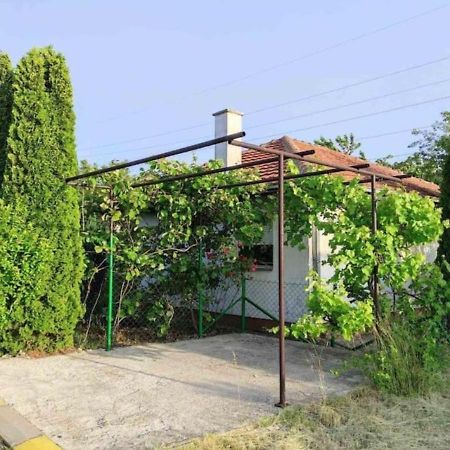 Cozy House Cvetkovic Villa Ni Kültér fotó