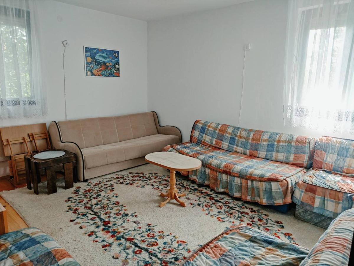Cozy House Cvetkovic Villa Ni Kültér fotó
