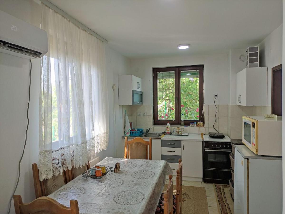 Cozy House Cvetkovic Villa Ni Kültér fotó